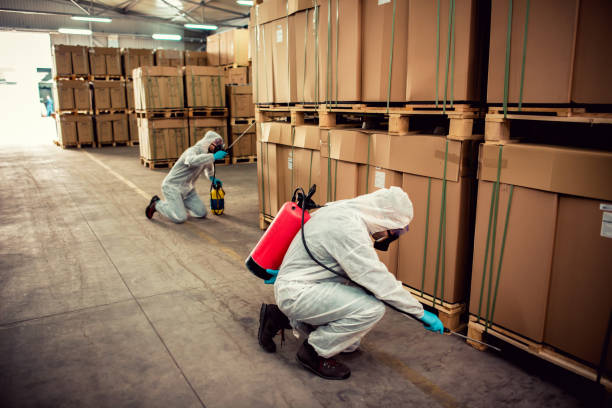 Best Ant Control Services  in Marceline, MO