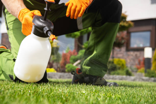 Best Wildlife Control Services  in Marceline, MO