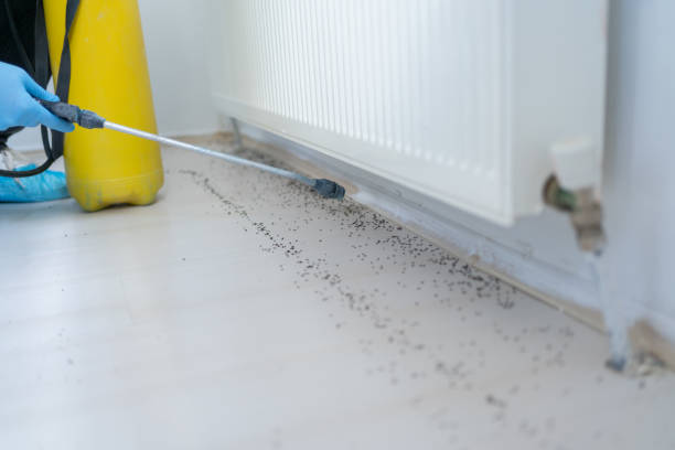 Best Pest Inspection Near Me  in Marceline, MO