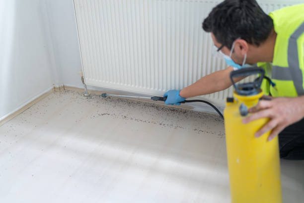 Best Commercial Pest Control Services  in Marceline, MO