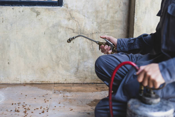 Best Pest Prevention Services  in Marceline, MO