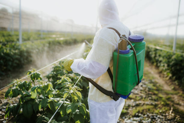 Best Cockroach Control Services  in Marceline, MO